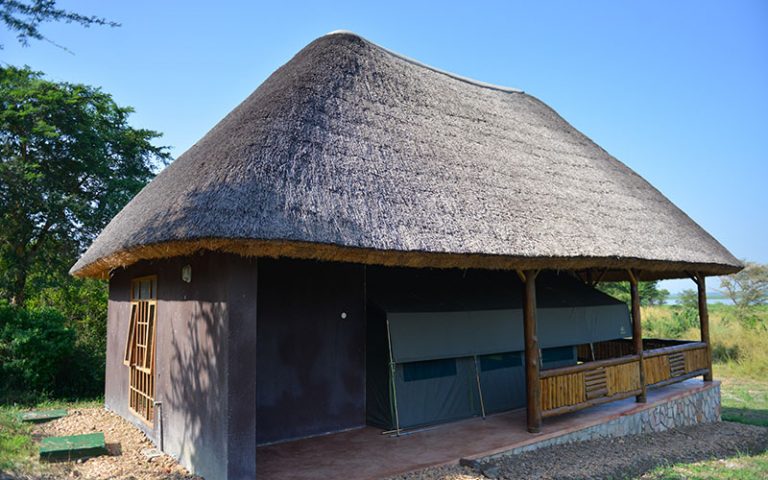 Twiga Safari Lodge grassland views