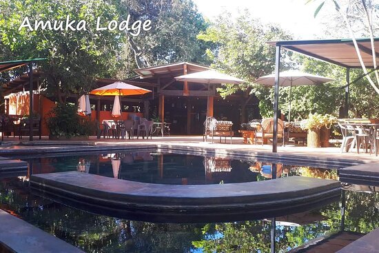 Amuka Safari Lodge Swimming