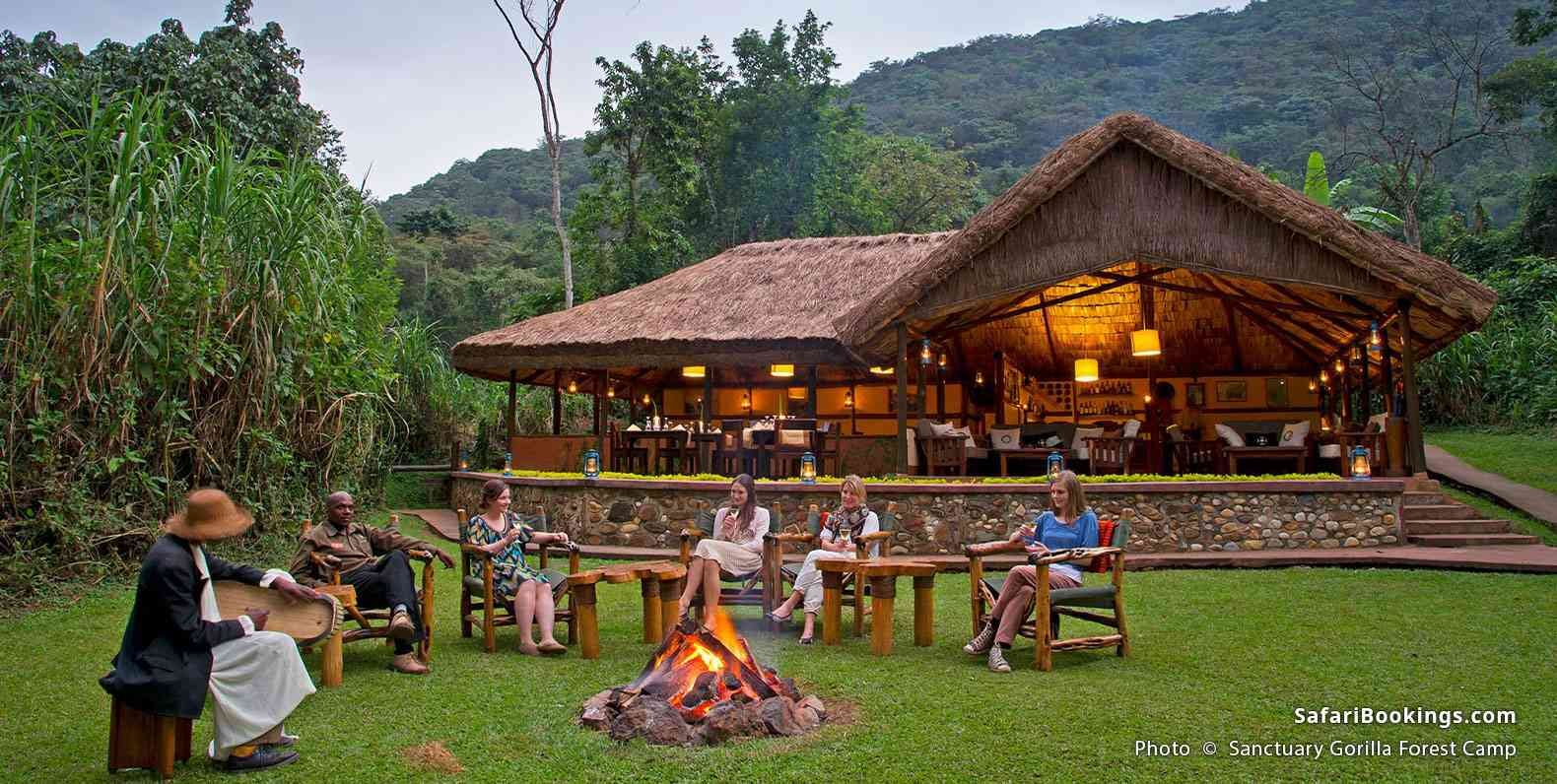 Best Luxury Safari Experience