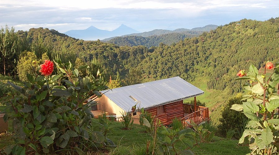 Bakiga Lodge offers luxury comfort combined with spectacular panoramic views of Bwindi Forest and the surrounding hills. Guests enjoy