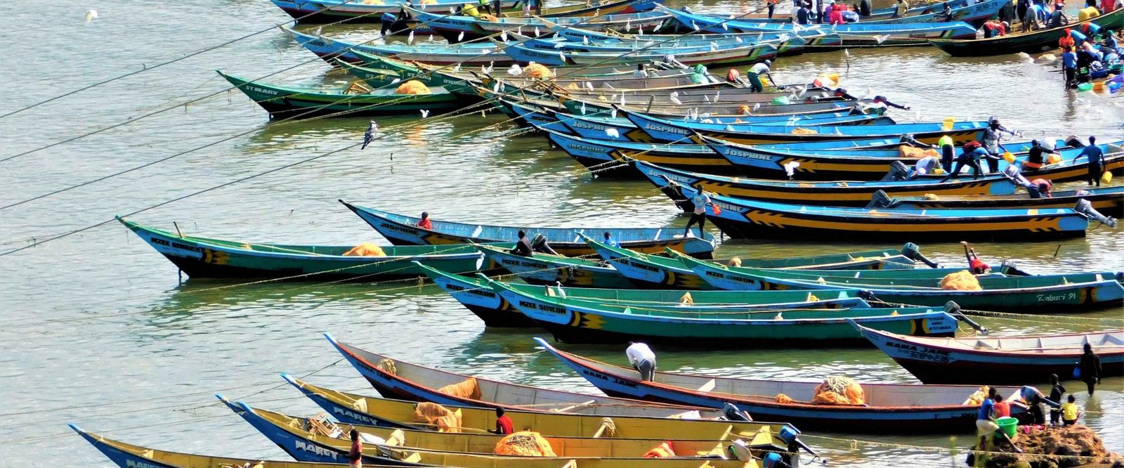 Activities Around Lake Kivu
