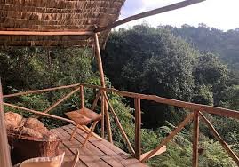 travelers seeking nature-focused accommodation with close access to forest activities,