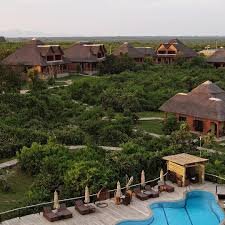 Buffalo Safari Lodge View