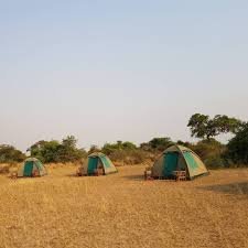 Bwana Tembo Safari Camp Camping