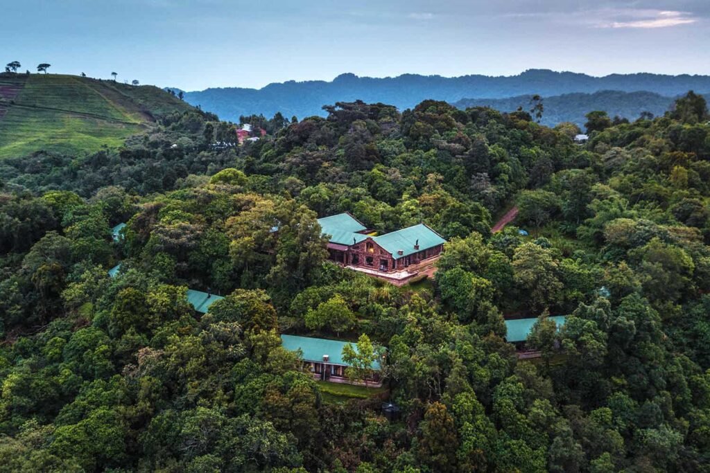 4 Days Gorilla Trekking at Clouds Gorilla Lodge | Luxury Fly-In Safari