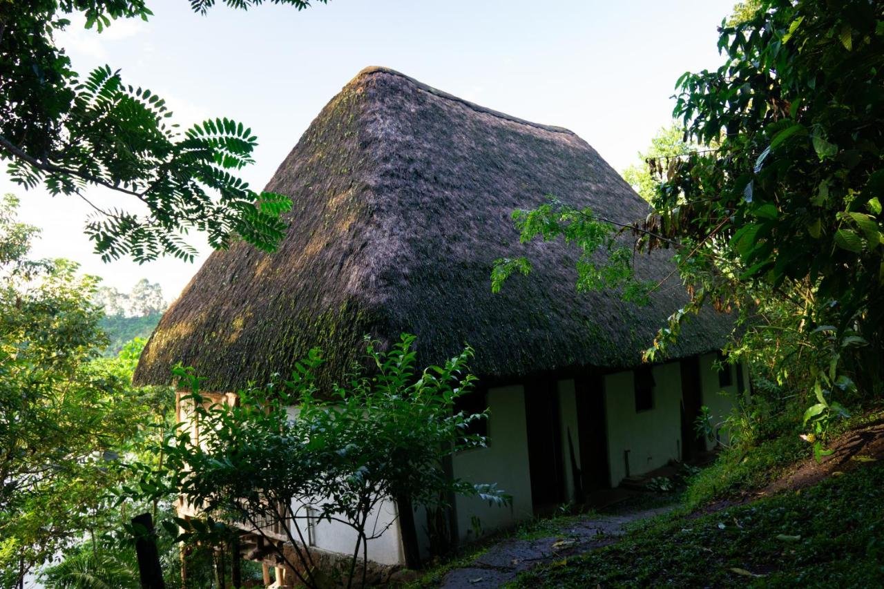 Dave the Cave Eco Lodge Sole