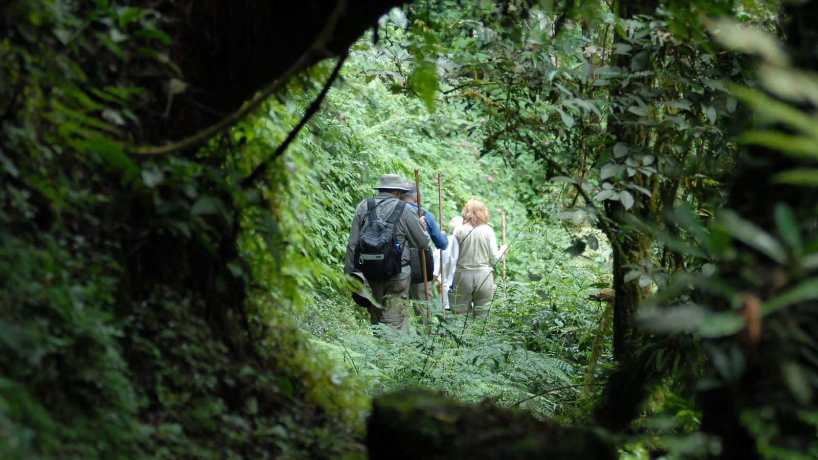 Dian Fossey Hikes Tomb