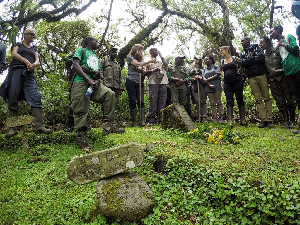 Dian Fossey Hiking Trail
