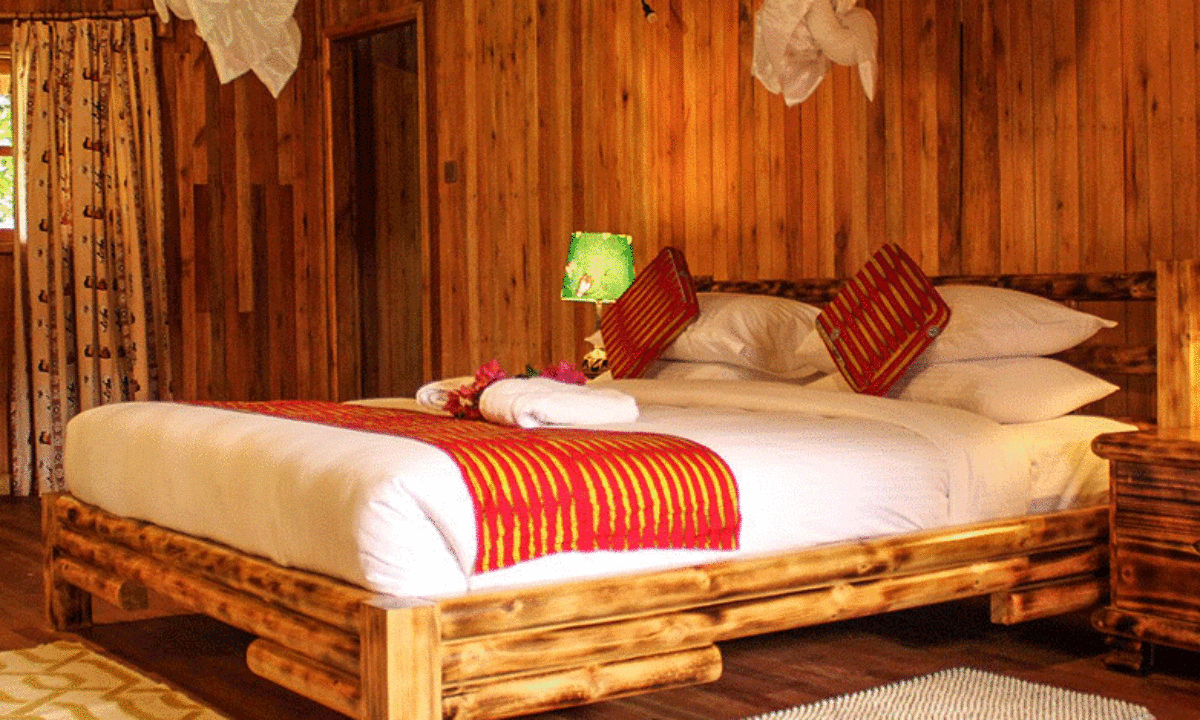 Elephant Hab Lodge Accommodation