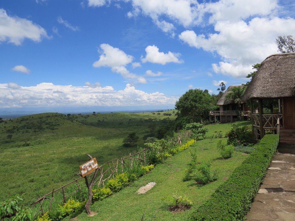 Elephant Hab Lodge Compound