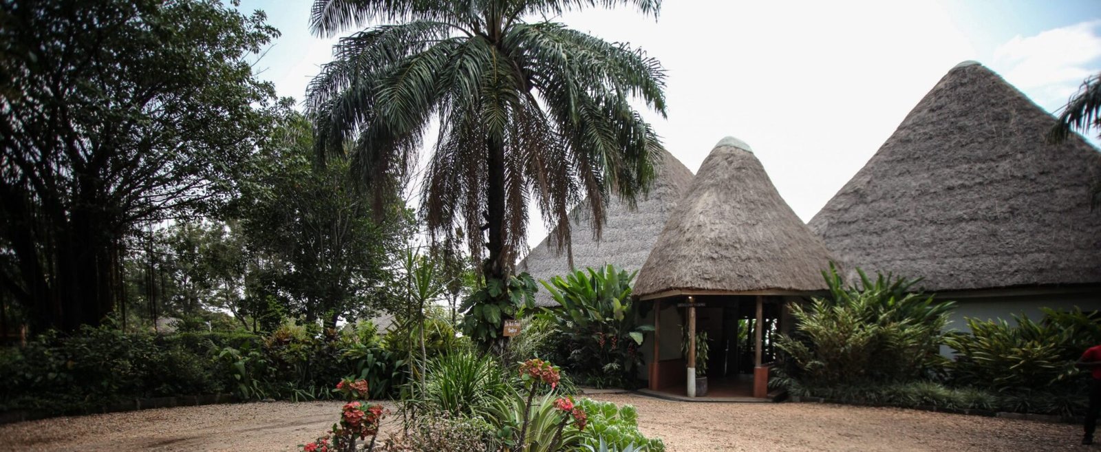 Elephant Hab Lodge View