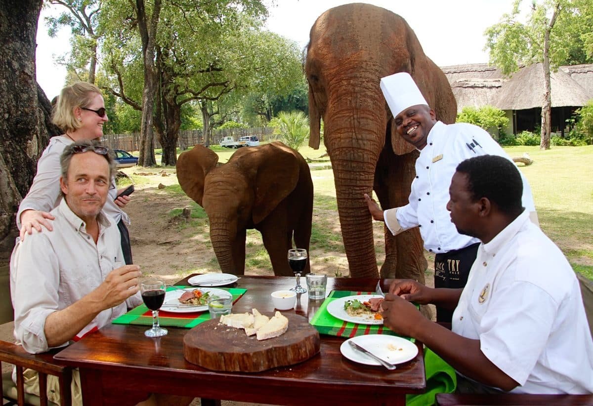 The Kazinga Channel, located near the lodge, offers an entirely different safari perspective with boat safaris. Guests can cruise along the channel to observe hippos wallowing in 