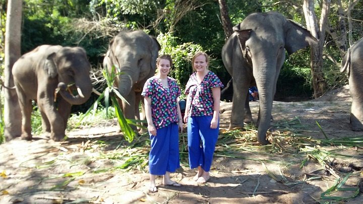 Elephant Home Tour