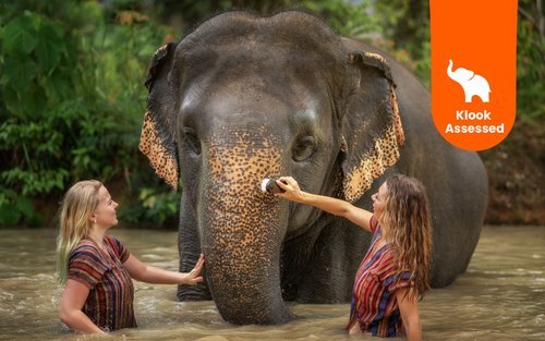 Elephant Home Trekking