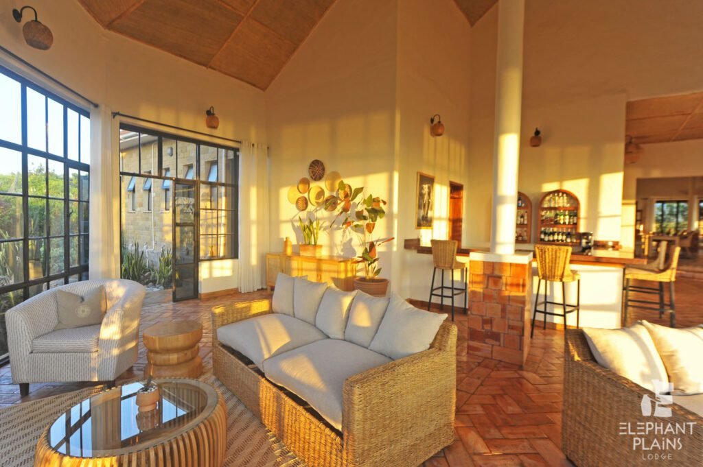 Elephant Plains Lodge View
