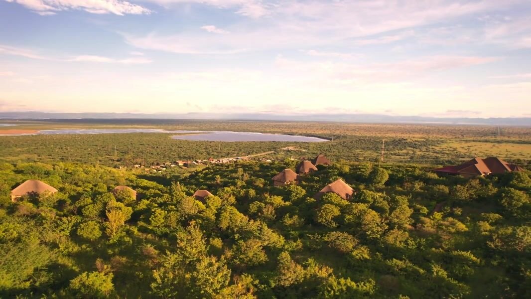 Elephant Plains Lodge Plains