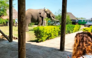 Engiri Game Lodge Home