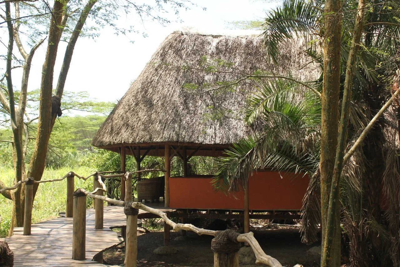 Enjojo Lodge Palm Village