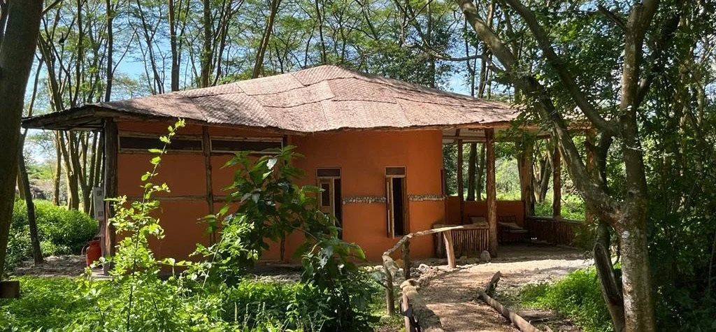 Enjojo Lodge Trees