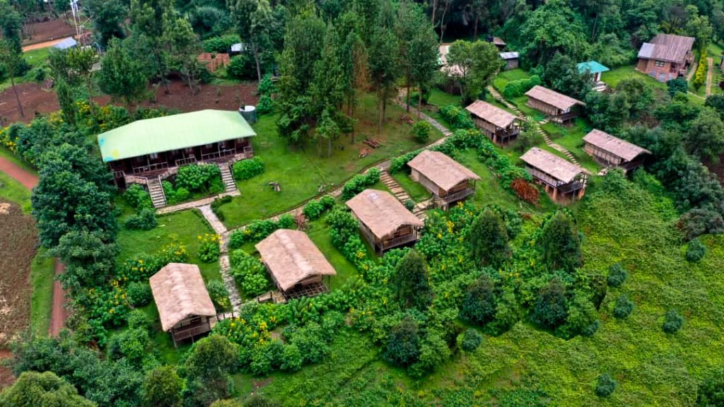 Gorilla Mist Camp is one of the top luxury lodges in Ruhija, offering beautiful forest views, elegant cottages, fine dining, and peaceful surroundings close