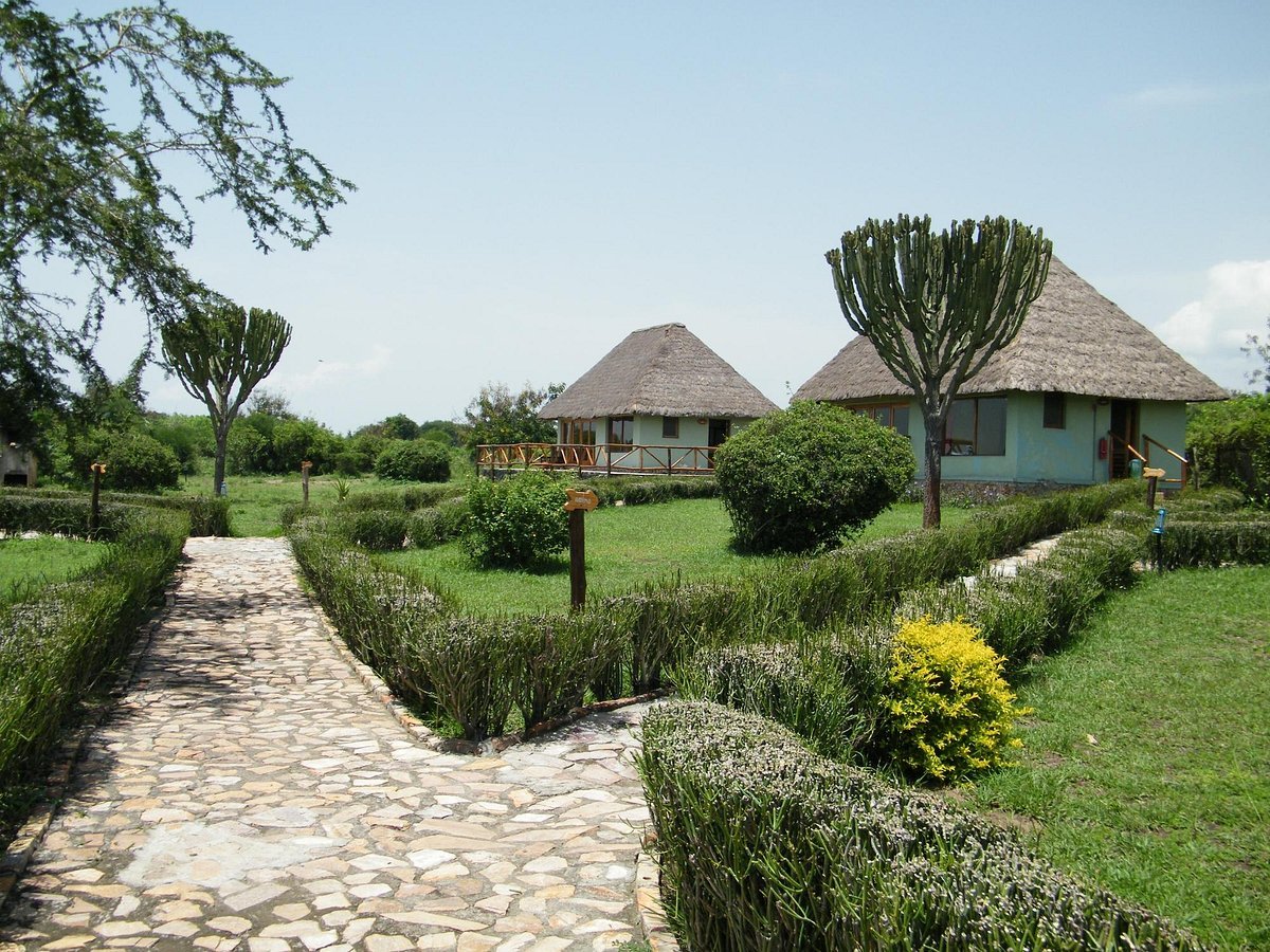 The design of Ihamba Lakeside Safari Lodge integrates seamlessly with its surroundings. The lodge features a blend of modern luxury and traditional African architecture, using locally sourced materials to maintain an eco-friendly focus. The lodge’s buildings and cottages are constructed using natural stone and thatched roofs, ensuring that the structures blend effortlessly into the landscape.
