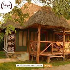 Irungu Forest Safari Lodge Accommodation