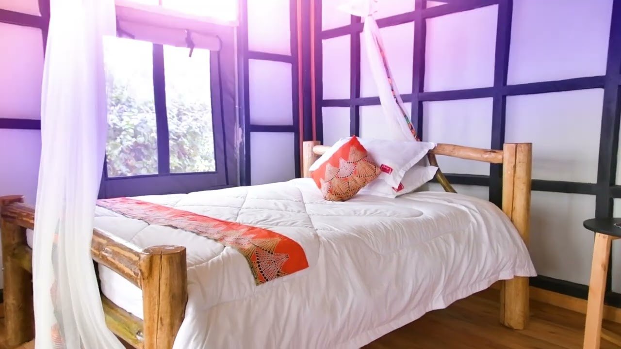 Irungu Forest Safari Lodge Accommodation
