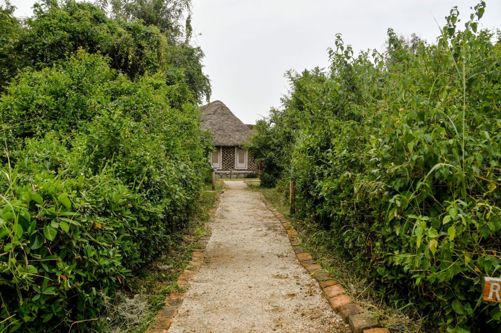 Irungu Forest Safari Lodge Bush