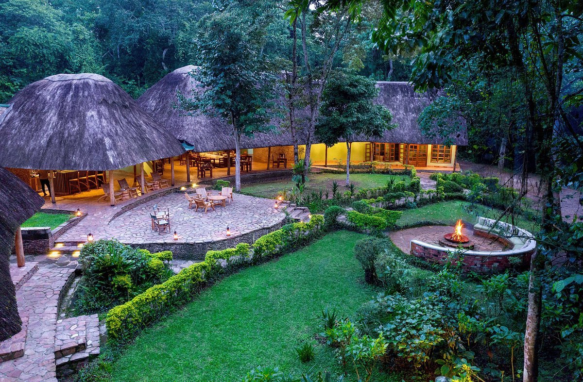 Irungu Forest Safari Lodge Compound
