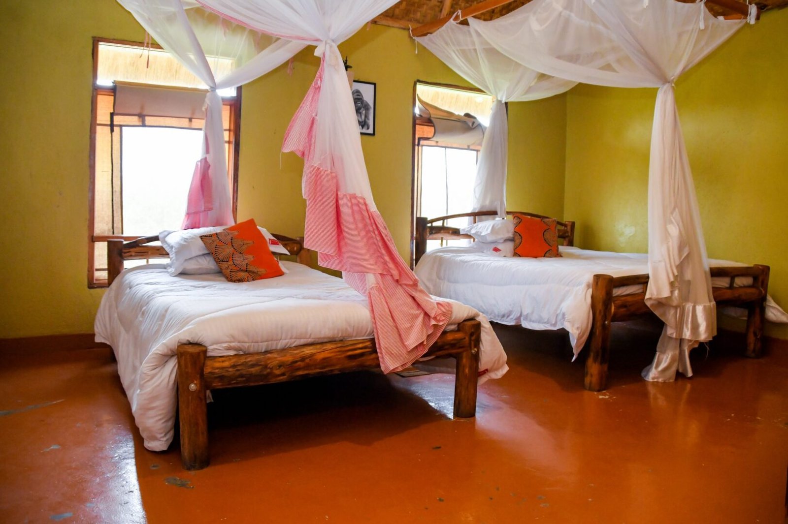 Irungu Forest Safari Lodge Net View