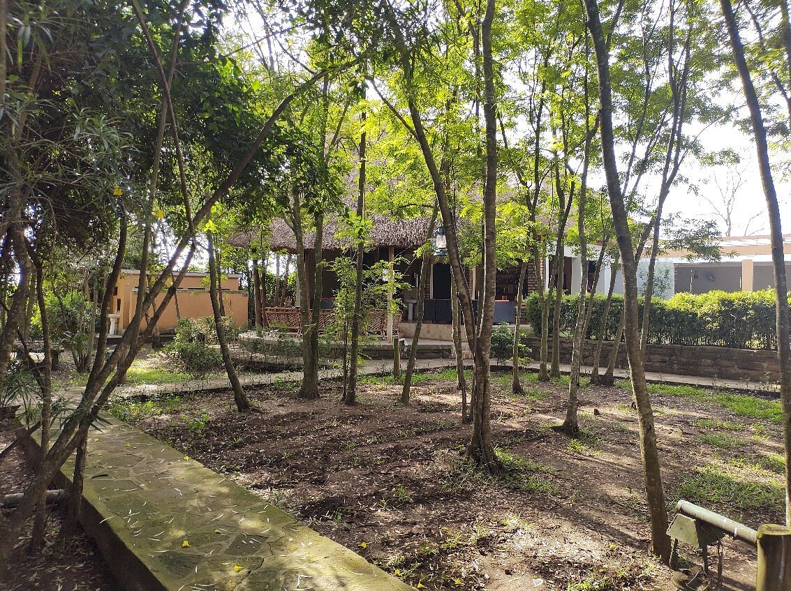 Irungu Forest Safari Lodge Shades