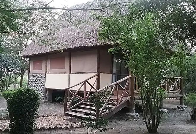 Ishasha Jungle Lodge prides itself on its eco-friendly design that 
