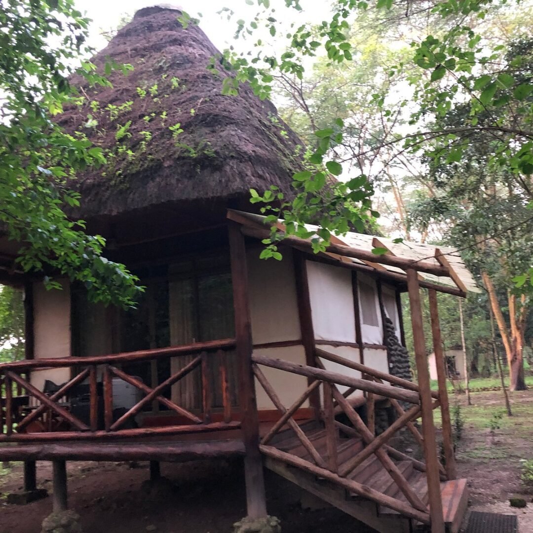 Ishasha Jungle Lodge House