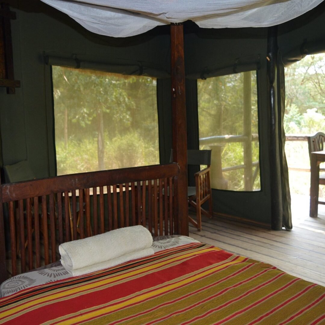 Ishasha Ntungwe River Camp Room