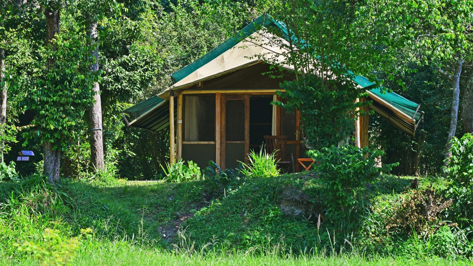 Ishasha Wilderness Camp Lodge
