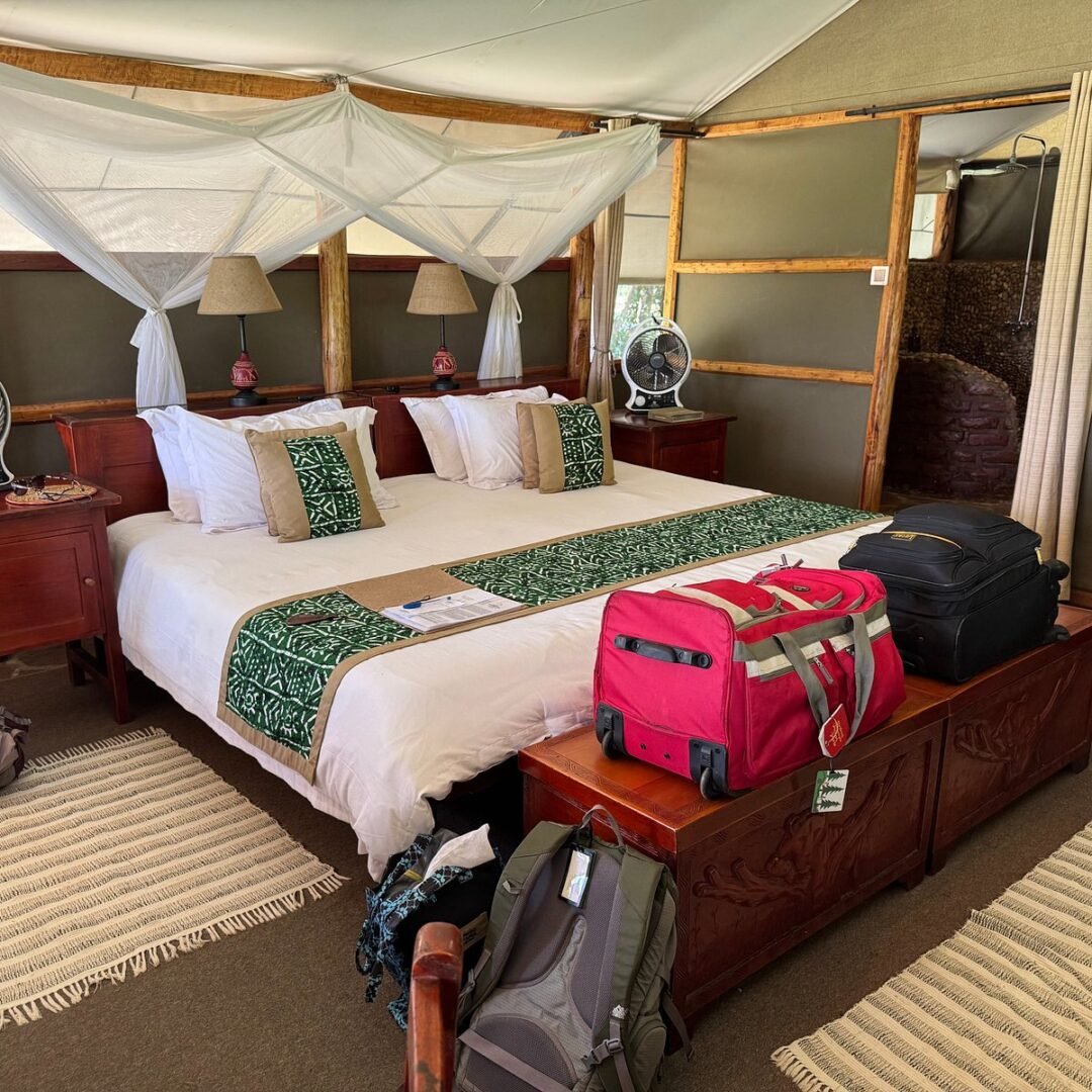 Ishasha Wilderness Camp Safari Experience