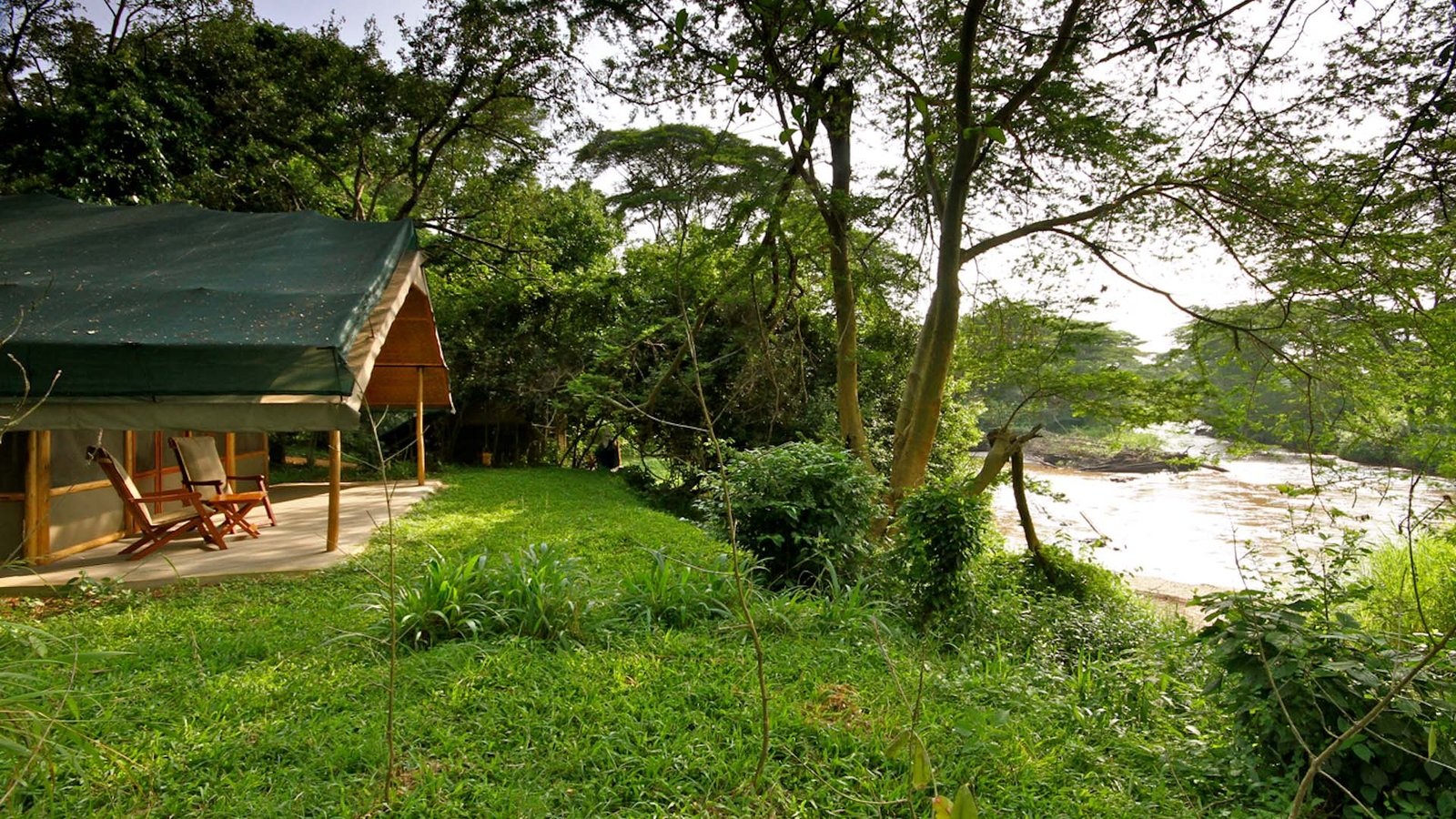 Ishasha Wilderness Camp Wildlife