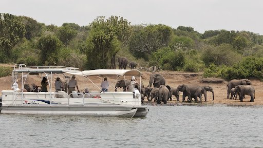 Jacana Safari Lodge Activity