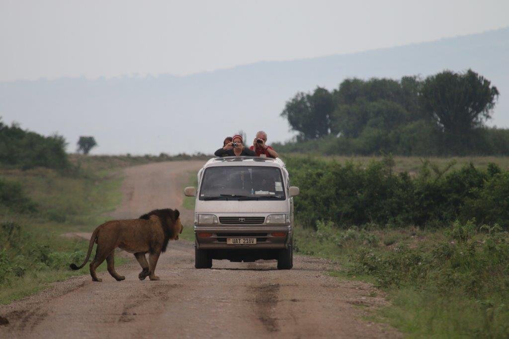 Game Drives
