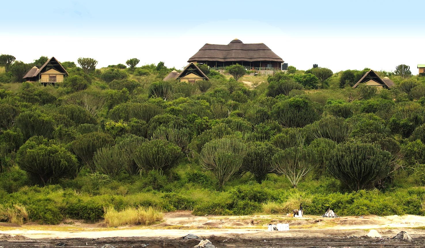 Kasenyi Safari Camp Forest