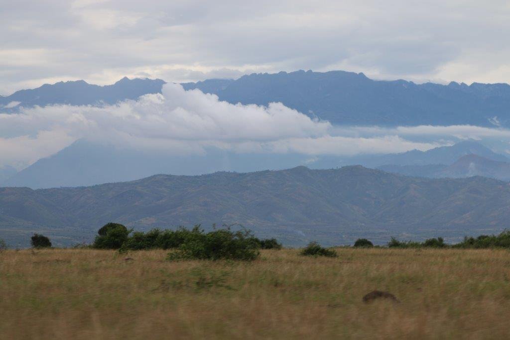 Kasenyi Safari Camp Nature