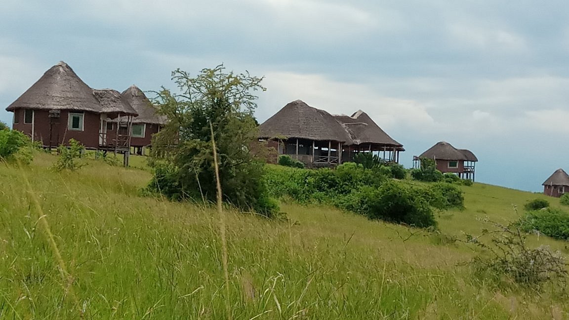 Kasenyi Wild Game Lodge Wild
