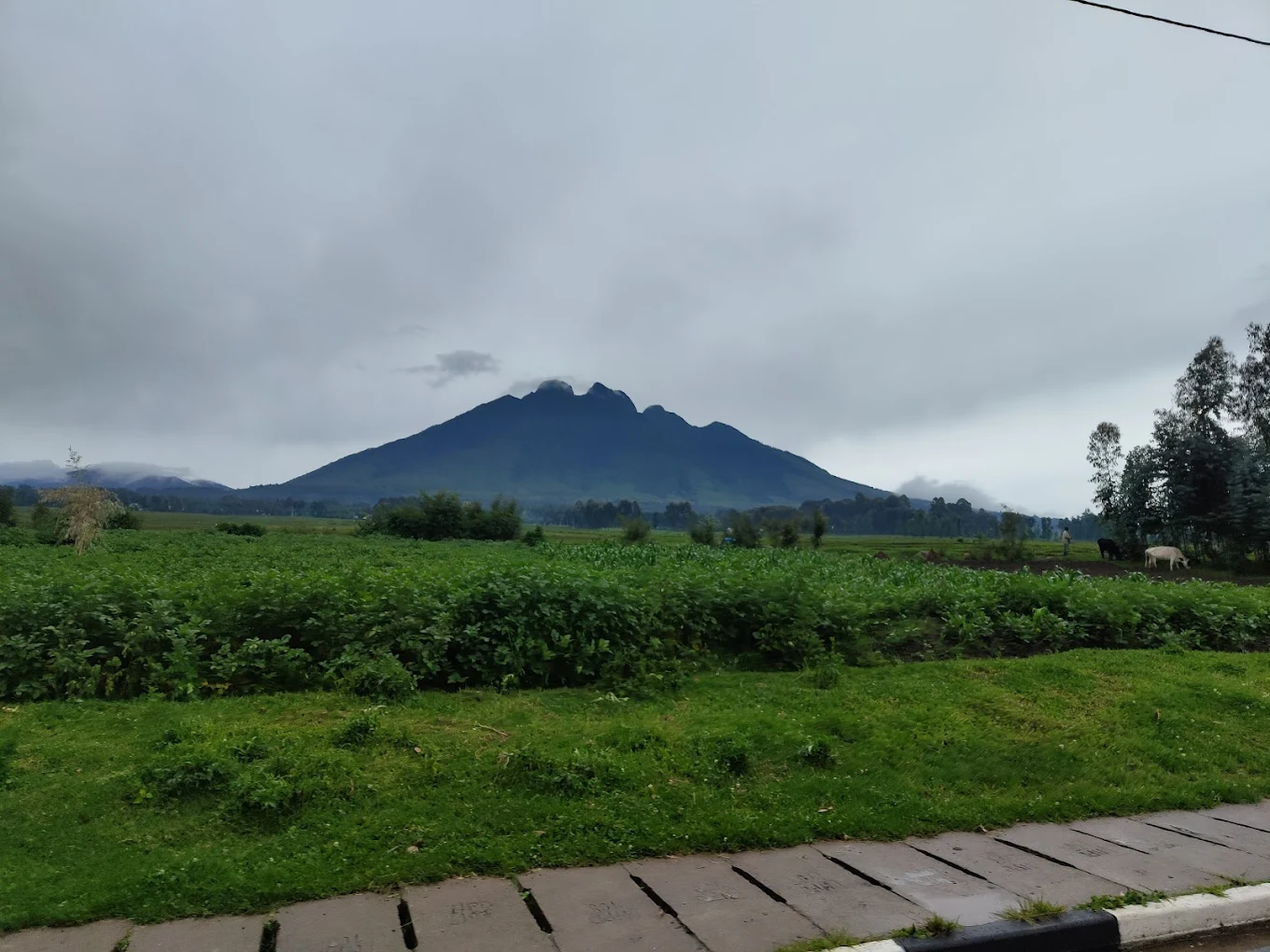 Kinigi Guest House volcanoes view