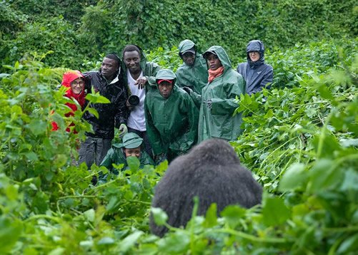Luxury Gorilla Trekking in Buhoma