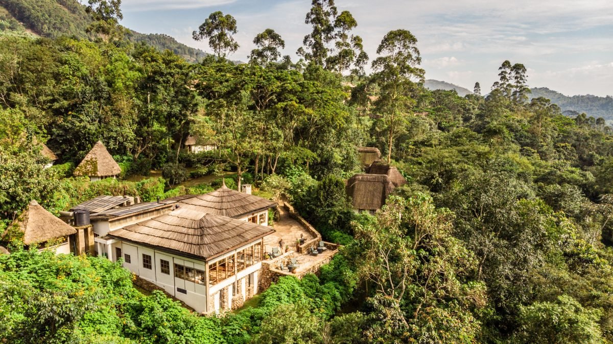 Luxury Gorilla Trekking Adventure in Buhoma