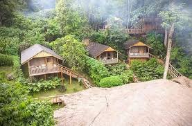 Luxury Gorilla Trekking in Buhoma Lodge