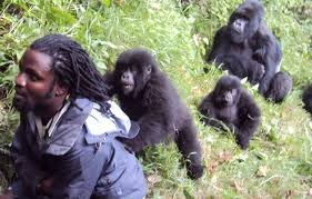 Luxury Gorilla Trekking in Buhoma Sector