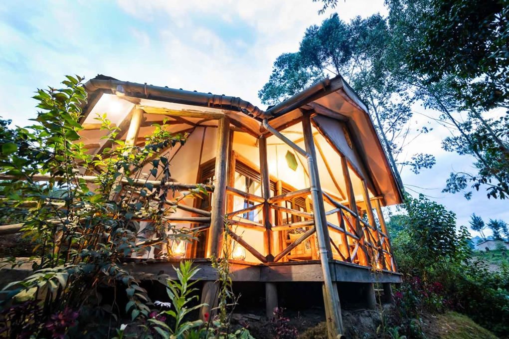Luxury Gorilla Trekking in Rushaga Lodge