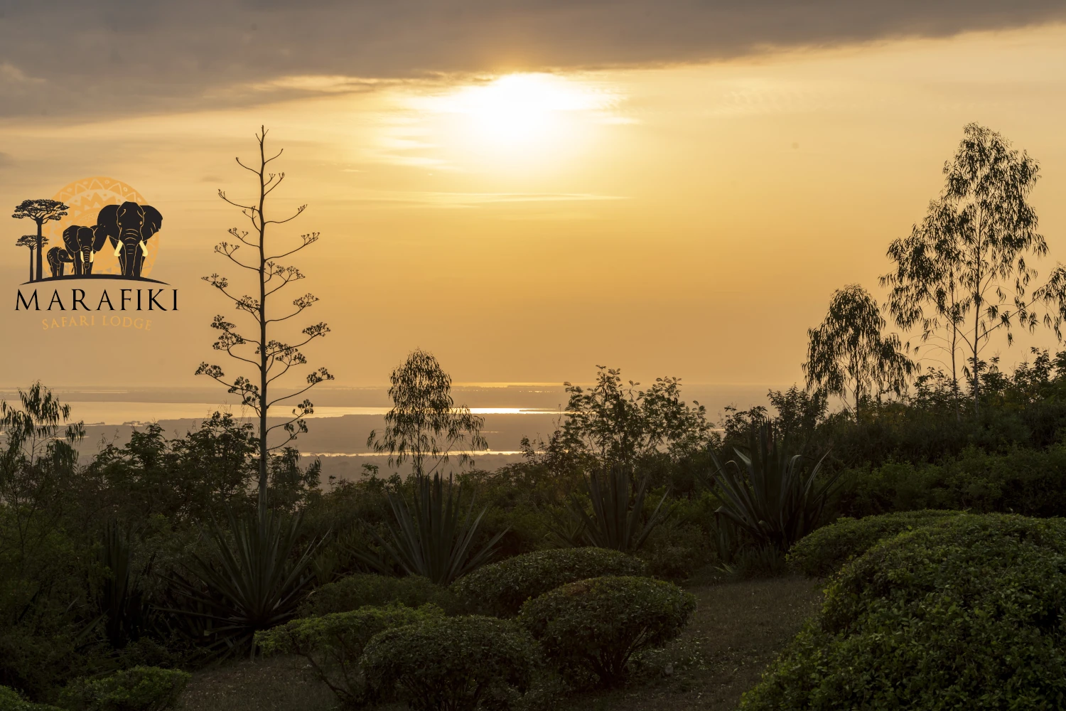 Marafiki Safari Lodge View