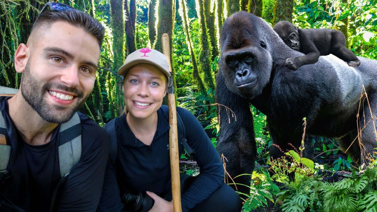 Most Expensive Gorilla Safari in Africa